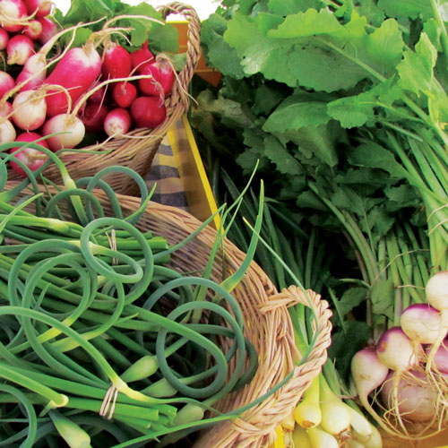 /online/TheHummData/listing media/Almonte-Farmers-Market.jpg